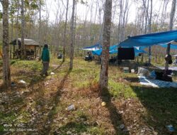 HGU PT LONSUM Berakhir, Tanah Adat Kembali Dikuasai Masyarakat Kajang