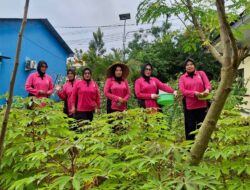 Bhayangkari Ranting Polsek Polsel Dukung Ketahanan Pangan Nasional melalui Program Pekarangan Pangan Lestari (P2L)